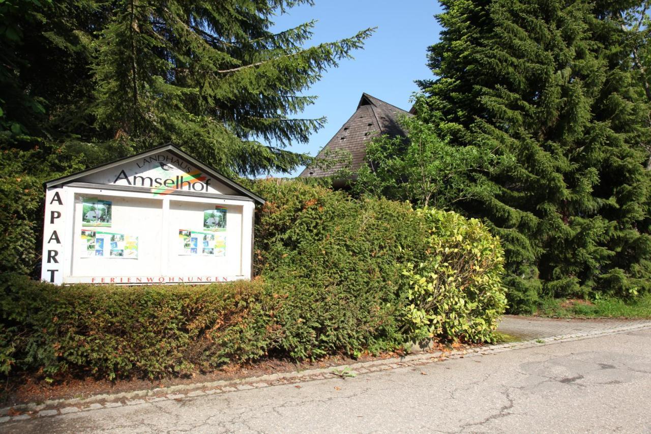Landhaus Amselhof Hinterzarten Extérieur photo